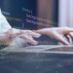 Principios de desarrollo web